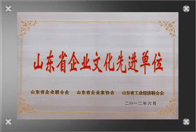山东省旺财28先进单位